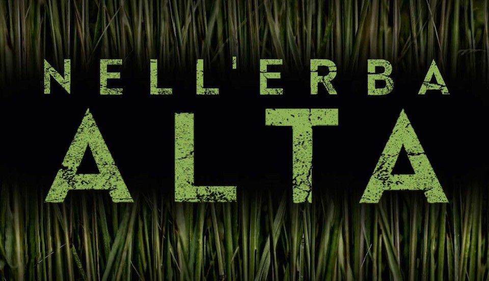 Nell’Erba Alta