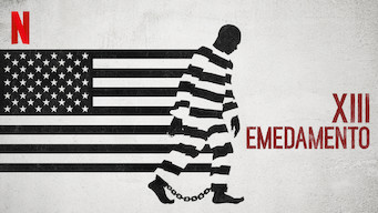 XIII EMENDAMENTO