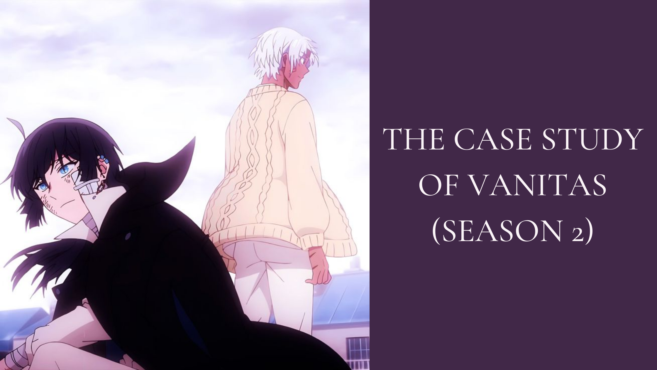 IL PASSATO CHE RITORNA:THE CASE STUDY OF VANITAS SEASON 2 (SPOILER)